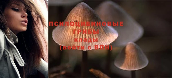 а пвп мука Алексеевка